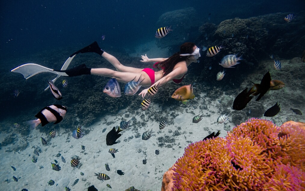 Freedive tại đảo Phú Quý (2)