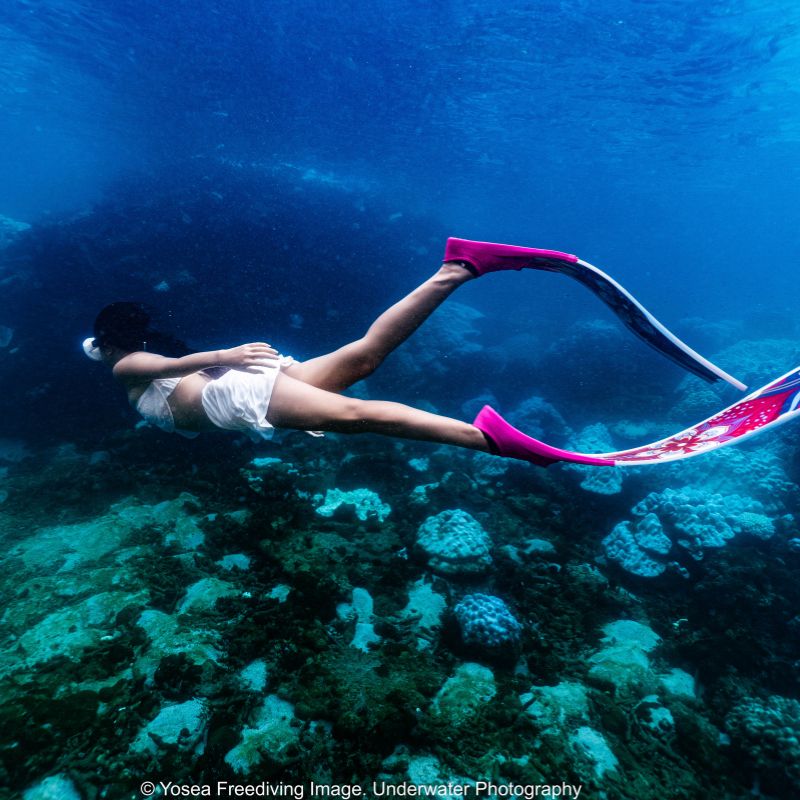 Freediving đảo Phú Quốc